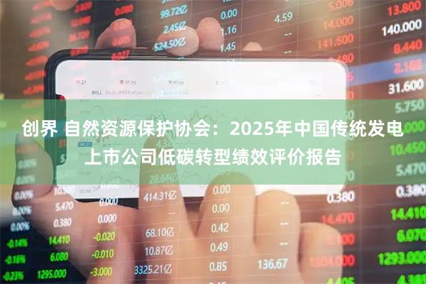 创界 自然资源保护协会：2025年中国传统发电上市公司低碳转型绩效评价报告