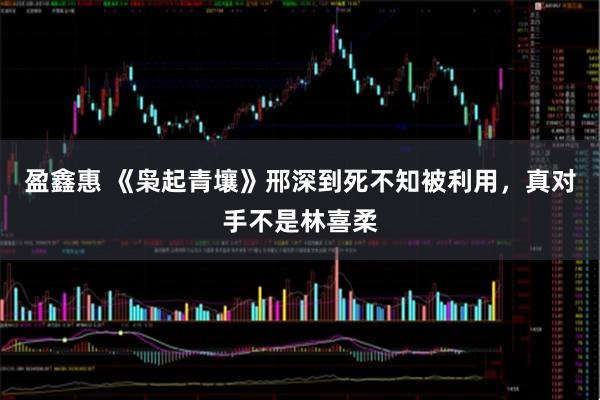 盈鑫惠 《枭起青壤》邢深到死不知被利用，真对手不是林喜柔