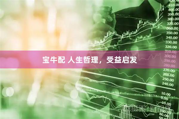 宝牛配 人生哲理，受益启发