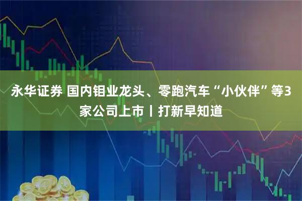 永华证券 国内钼业龙头、零跑汽车“小伙伴”等3家公司上市丨打新早知道